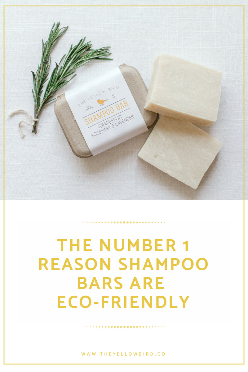 the-yellow-bird-eco-friendly-shampoo-blog