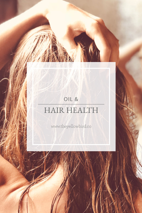 oil and hair health