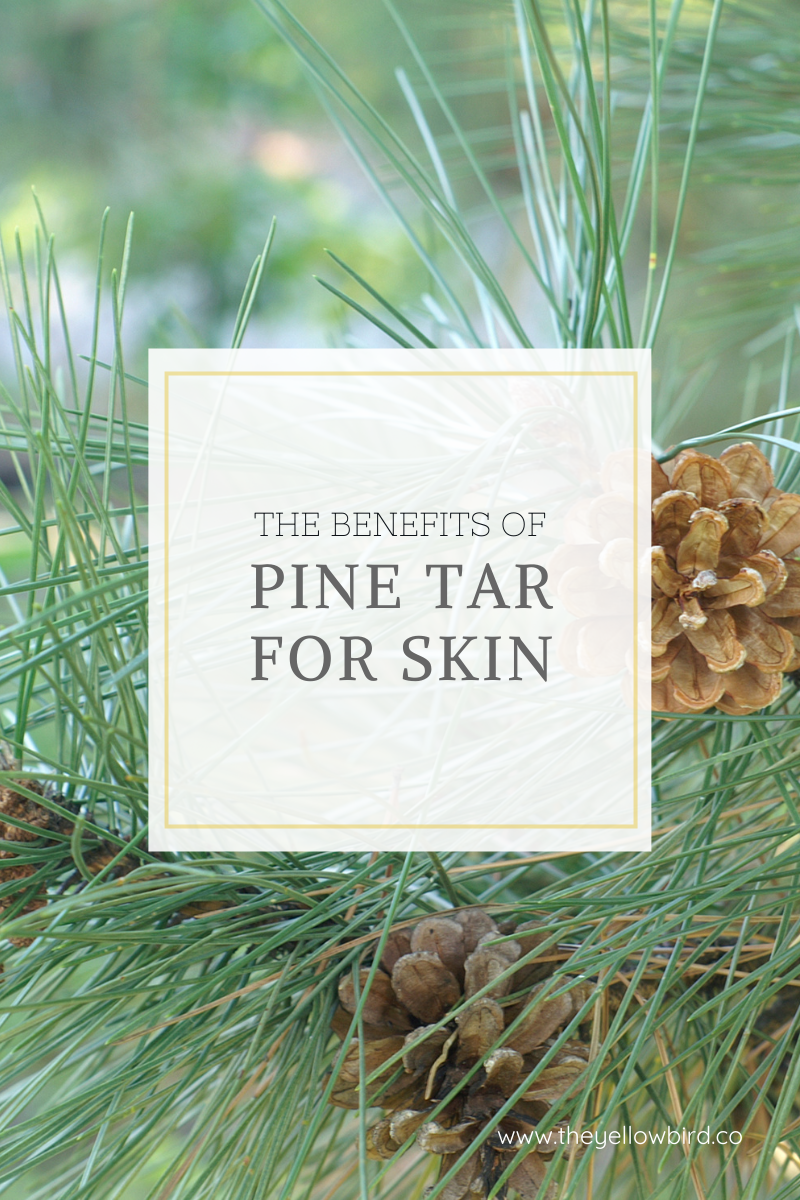 Benefits of Pine Tar for Skin