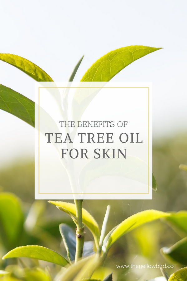 Benefits of tea tree oil for the skin deals