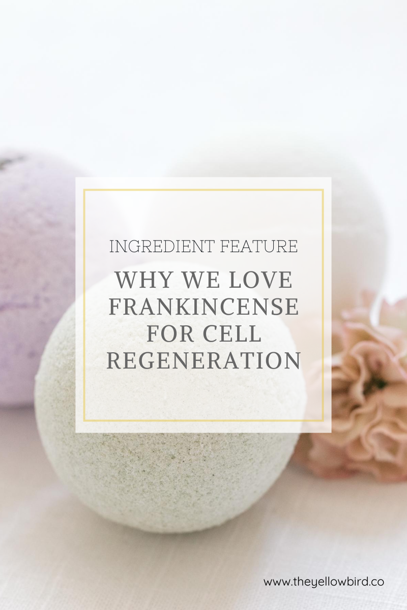 Why We Love Frankincense for Cell Regeneration