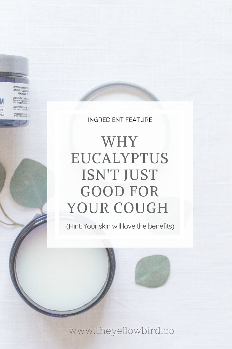 eucalyptus skin benefits essential oil acne feet the yellow bird blog
