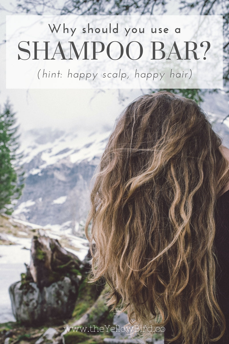 the yellow bird shampoo soap bar for healthy hair,  clean shampoo