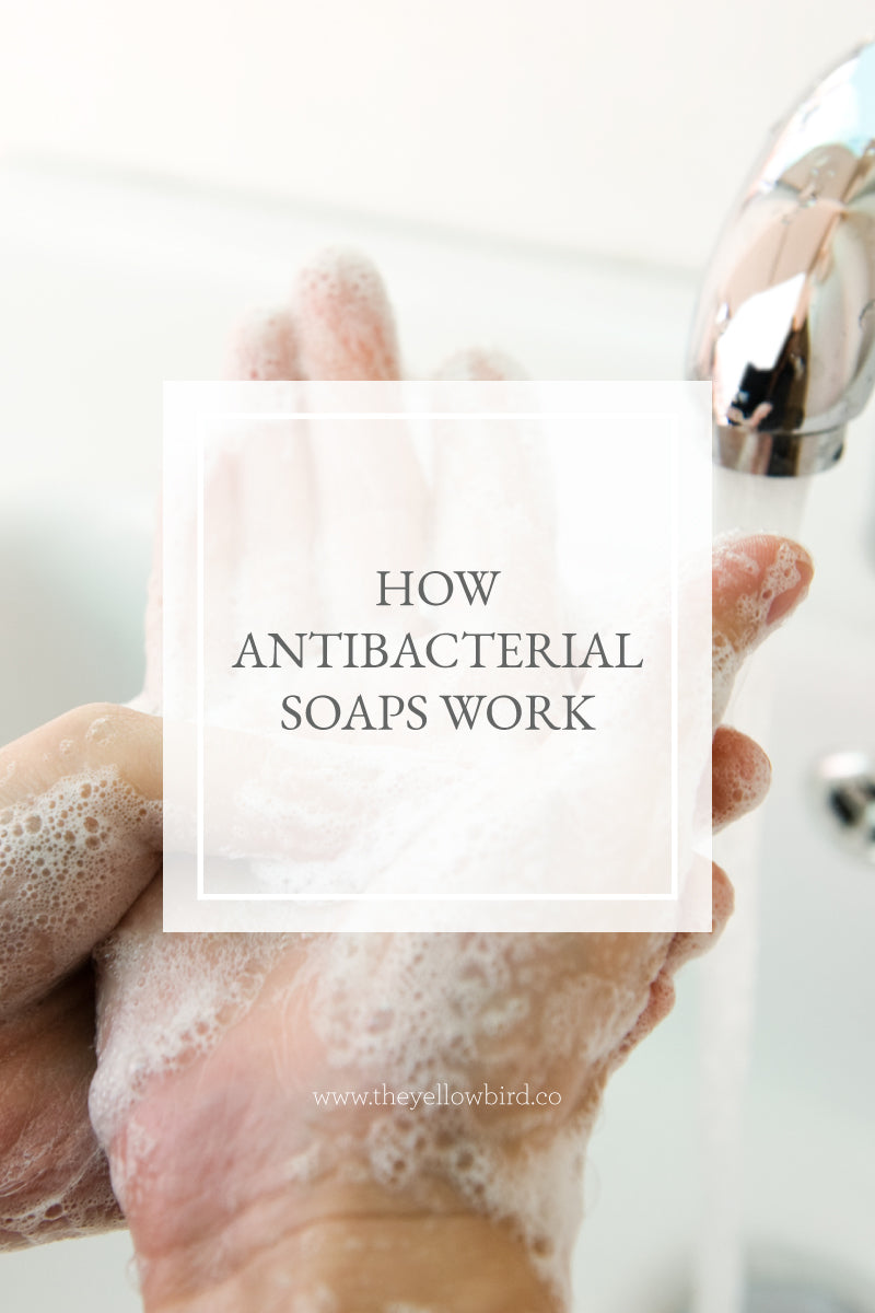 How Antibacterial Soaps Work