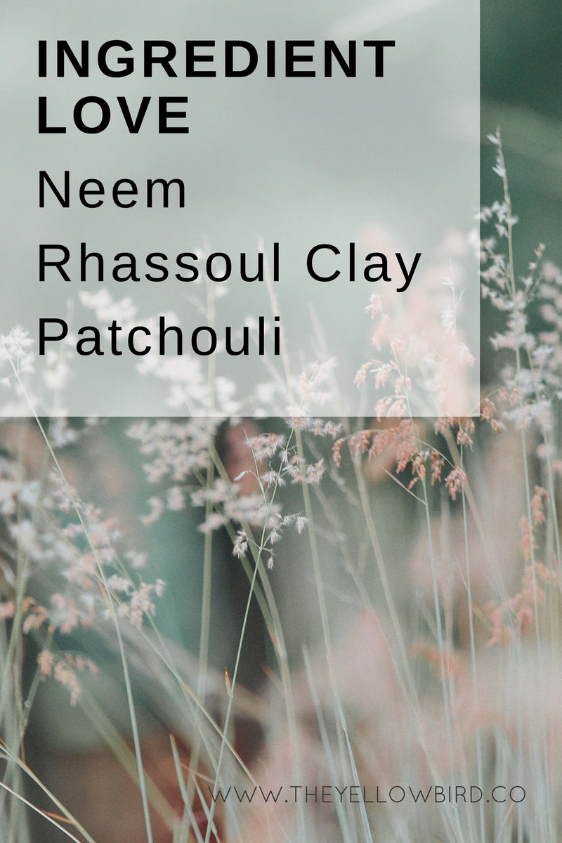 skin benefits for neem rhassoul clay parchouli yellow bird natural skin care