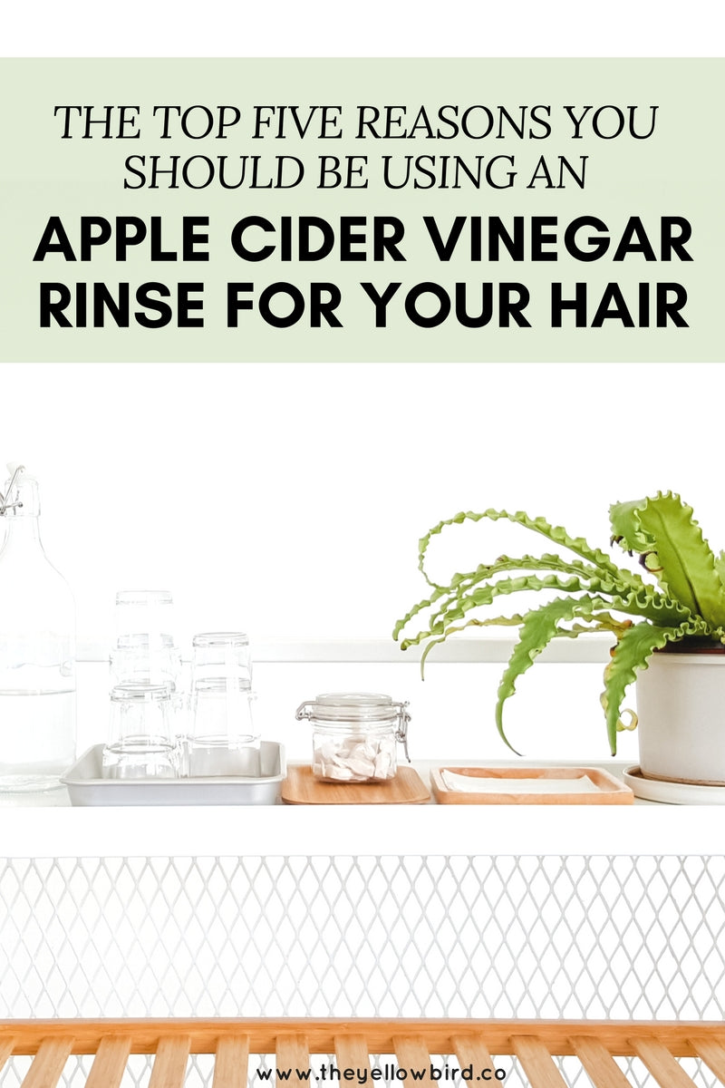 Yellow Bird Blog Apple cider Vinegar Rinse for Hair and Recipe
