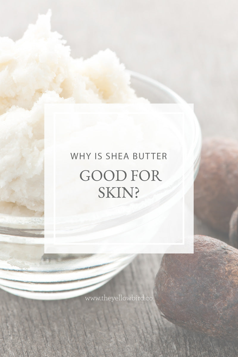 Why is Shea Butter Good for Skin?