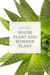 Aloe Vera: The House Plant and Wonder Plant