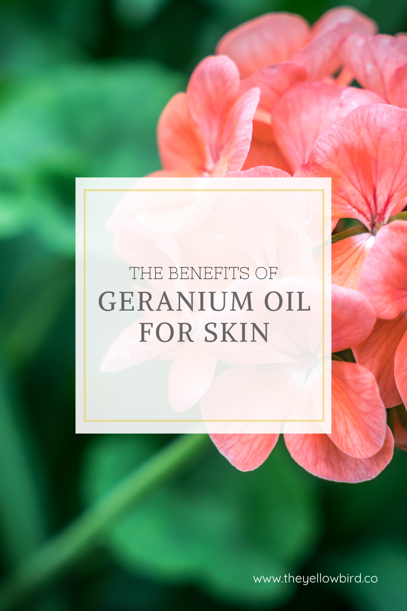Benefits of Geranium Oil for Skin