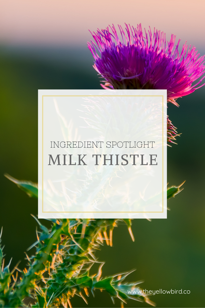 Benefits of Milk Thistle for Skin