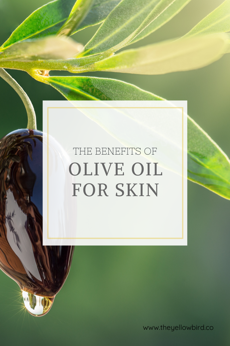 Benefits of Olive Oil for Skin - The Yellow Bird