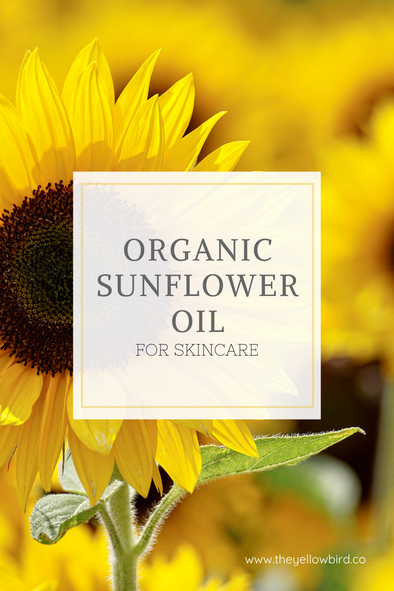 Organic Sunflower Oil Benefits for Skincare – The Yellow Bird Blog