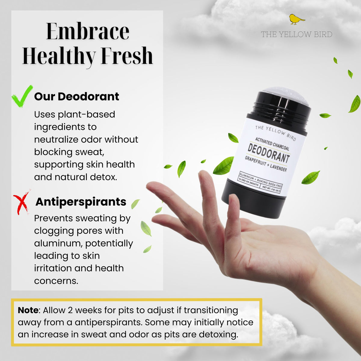 Natural Grapefruilt Lavender Deodorant