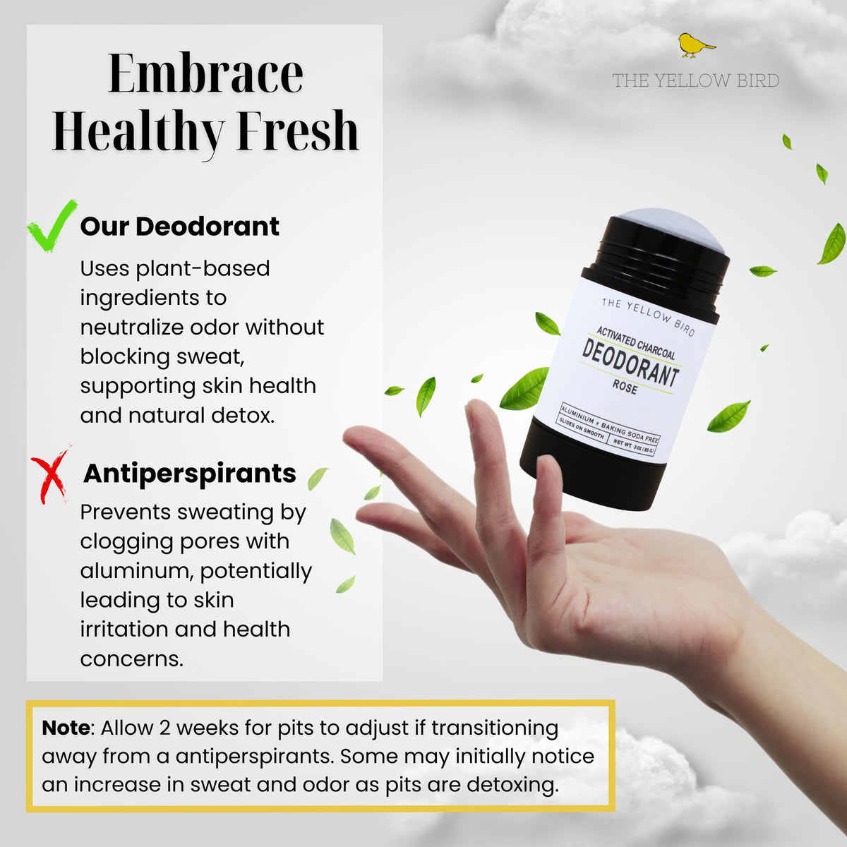 Pit Detox Bundle | Deodorant + Lavender, Lemongrass, Charcoal Soap Bar