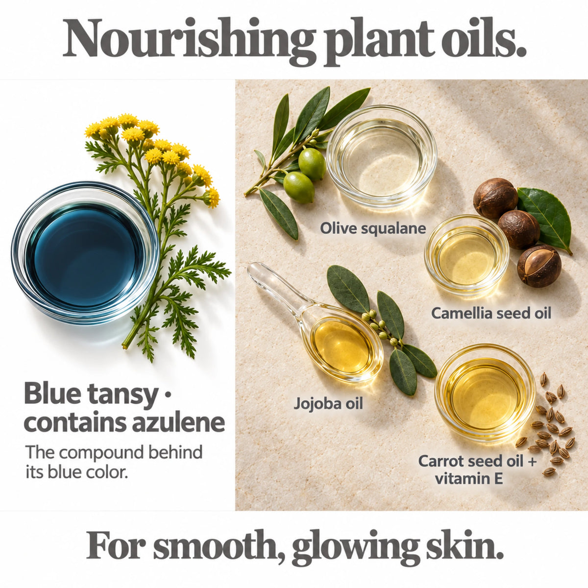 Blue Tansy Face Oil