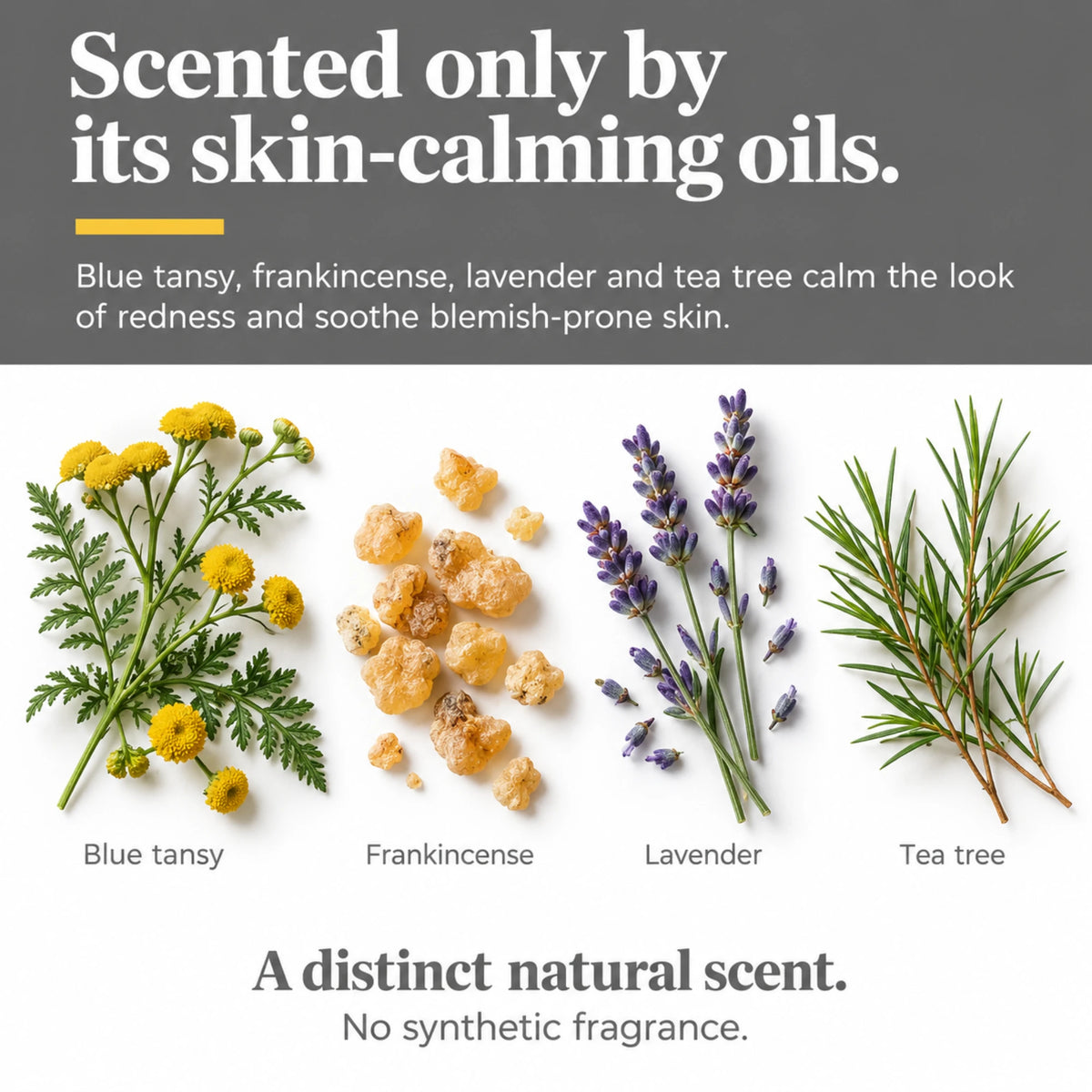 Blue Tansy Face Oil